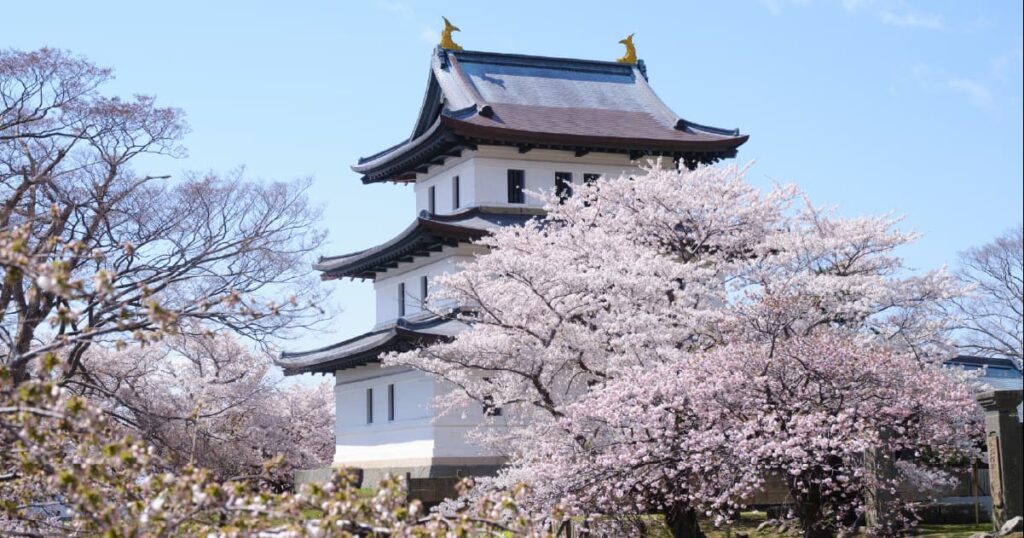 北海道松前町にある松前城：日本最北かつ最後の日本式城郭。約250種1万本の桜が咲く、道内随一の桜名所として名高い名城。