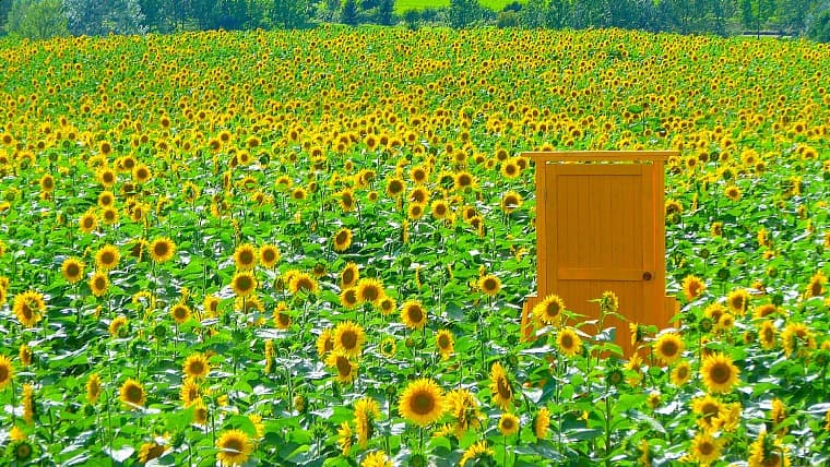 北海道名寄市にあるサンピラーパークのひまわりと黄色いドア：名寄市のサンピラーパークでは、８月に広大なひまわり畑と景色に溶け込む「黄色いドア」の絶景を楽しめます。