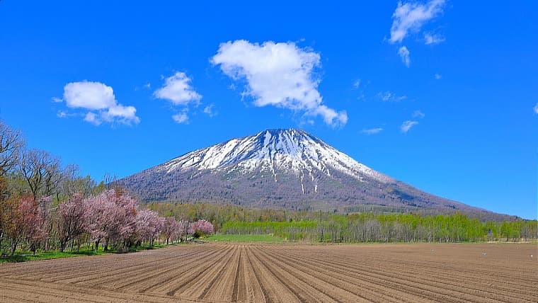 北海道真狩村から見た羊蹄山：真狩村からは「真狩富士」と呼ばれ、遮るもののない最も端正で美しい円錐形の羊蹄山を間近に仰げます。