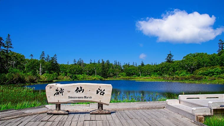 北海道共和町の神仙沼：ニセコ山系のなかでも最も美しい沼と言われ、標高約750mの高原に広がる高層湿原に位置しています。
