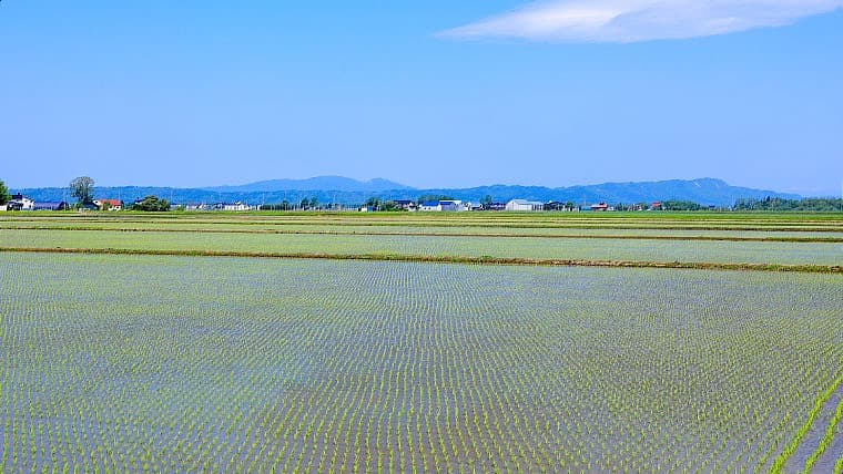 北海道新篠津村の田園風景：広大な石狩平野にパッチワーク状の田畑が広がり、夕日に染まる空と真っすぐな道が織りなす開放的な農村風景。