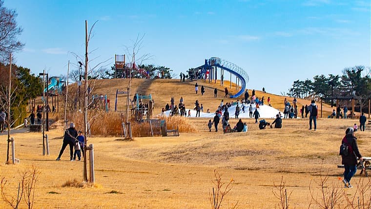 宮城県仙台市若林区にある海岸公園冒険広場：海岸公園冒険広場は、震災の教訓と復興を伝える仙台市の公園。広大な敷地で自然体験や外遊びが楽しめます。