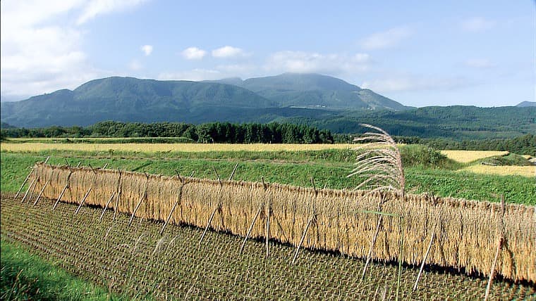 宮城県仙台市青葉区の田んぼ：青葉区は仙台市の中心から西側の奥羽山脈へ細長く広がっており、山間部では自然豊かな里山や田園風景も見られます。
