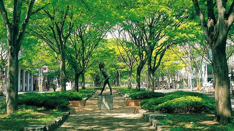 宮城県仙台市の定禅寺通り：仙台のシンボルであるケヤキ並木が美しい通りです。新緑や紅葉、冬の光のページェントなど四季折々の絶景が楽しめ、散策にも最適な都会の憩いの場です。