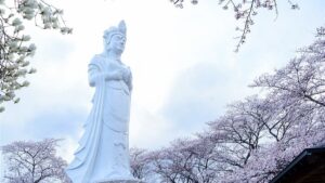 宮城県柴田町の船岡城址公園の桜：伊達騒動で知られる原田甲斐の居城跡であり、その後は幕末まで柴田氏が治めました。高さ24mの観音像がそびえ立つ園内は、4月上旬から中旬に開催される「さくらまつり」で賑わう桜の名所です。その景観は評価され、平成2年（1990年）には「日本さくら名所100選」にも選定されています。