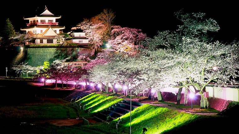 宮城県涌谷町の桜まつり：城山公園の城跡に約500本の桜が咲き誇る春の祭りで、東北輓馬競技大会が同時開催され賑わいます。