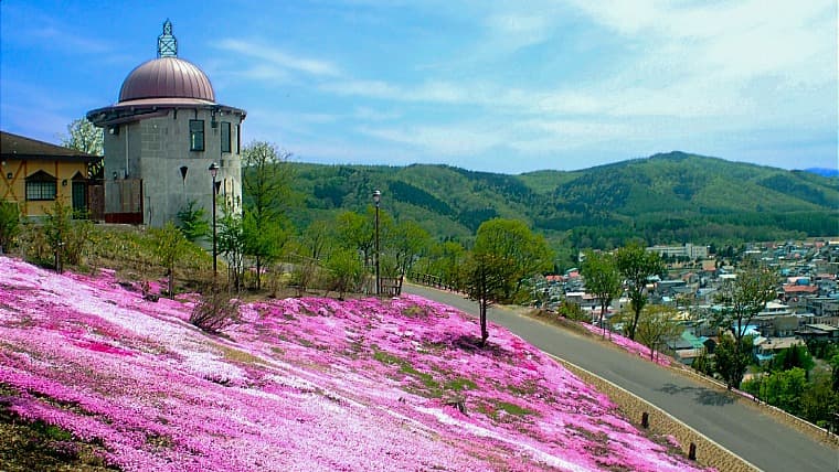 北海道滝上町の芝桜公園：丘一面を約10万平方メートルの芝桜が埋め尽くす、甲子園球場の約7倍の広さを誇る日本最大級の公園です。