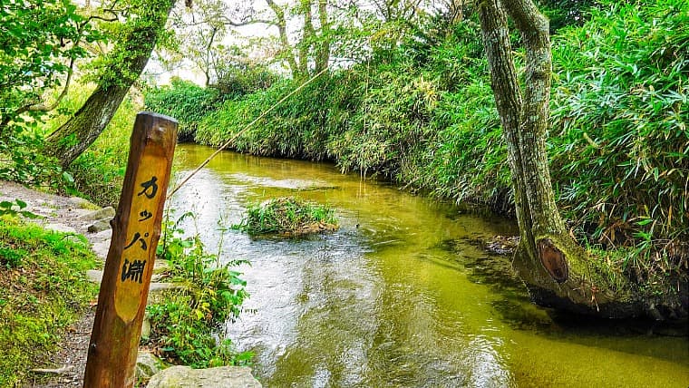 岩手県遠野市のカッパ淵：カッパの伝説が多く残り、今にもカッパが現れそうな雰囲気を持つ、遠野市常堅寺の裏手を流れる小川です。