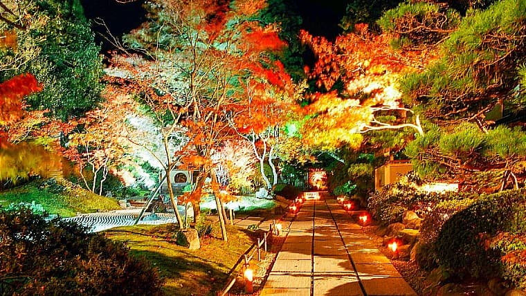 宮城県松島町の円通院の紅葉：円通院の紅葉は、名勝・松島湾の景観と調和した美しい光景が魅力です。秋には風情ある庭園が鮮やかに彩られます。