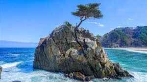 岩手県普代村の布台浜：岩手県普代村にある普代浜は、三陸海岸の断崖と太平洋の荒波が織りなす絶景が魅力の海岸です。