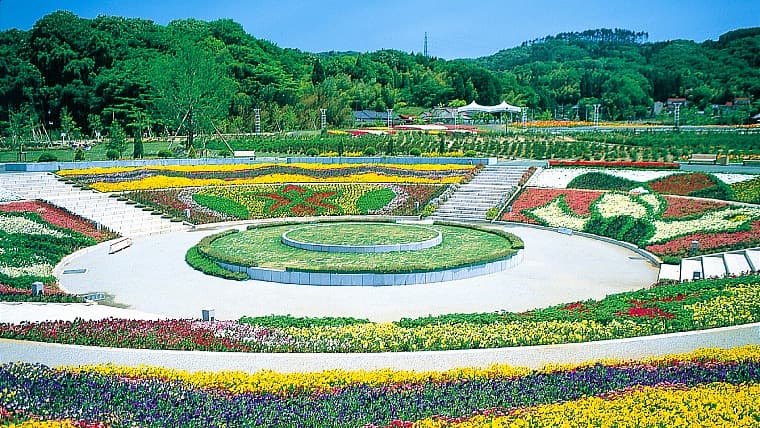 宮城県岩沼市のハナトピア岩沼:花と緑に親しめる自然豊かな公園です。四季折々の花々が楽しめるほか、地元野菜の直売所や体験施設も充実しており、家族連れや観光客の憩いの場として親しまれています。