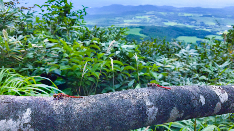 岩手県滝沢市にある鞍掛山：岩手山の麓に位置する、初心者や家族連れに人気の登山スポット。美しい眺望と豊かな自然が魅力の山です。