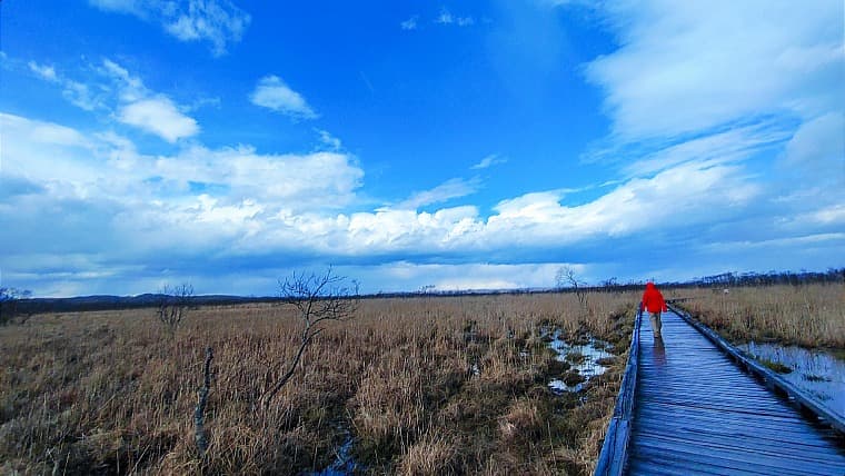 北海道鶴居村の温根内木道：日本最大の釧路湿原を間近に感じながら、様々な湿原植物や野鳥を観察できる全長約３キロの木道です。