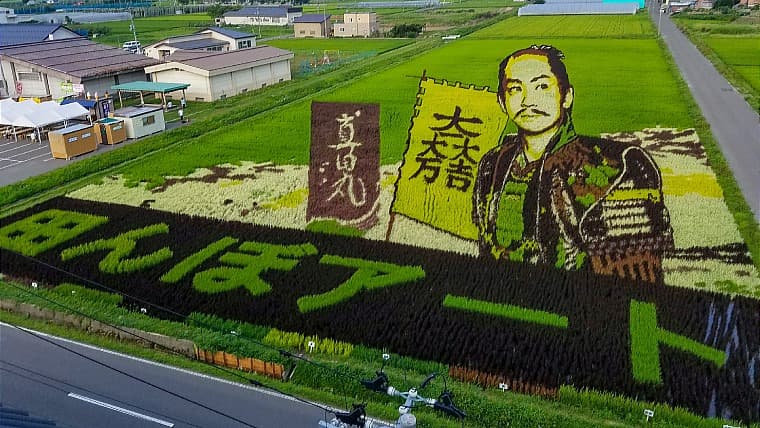 青森県田舎館村の田んぼアート：色の異なる稲を使い、水田を巨大なキャンバスに見立てて絵画を描き出す、田舎館村が発祥の芸術イベントです 。