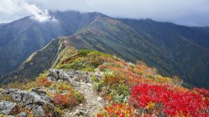 山形県小国町の朝日岳：山形県小国町と新潟県にまたがる磐梯朝日国立公園の主峰で、美しい高山植物と原生林が広がる日本百名山です。