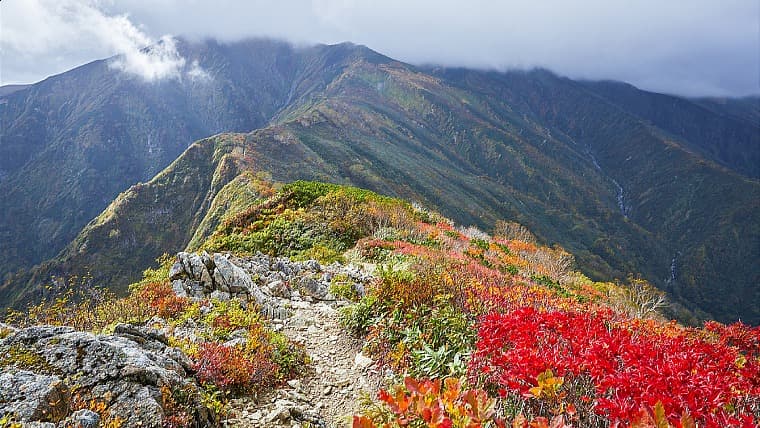 山形県小国町の朝日岳：山形県小国町と新潟県にまたがる磐梯朝日国立公園の主峰で、美しい高山植物と原生林が広がる日本百名山です。