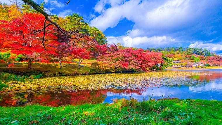 福島県本宮市の花と歴史の郷 蛇の鼻：四季折々の花々と、明治末期の重厚な名建築「蛇の鼻御殿」を楽しめる、広大な歴史ある日本庭園です。