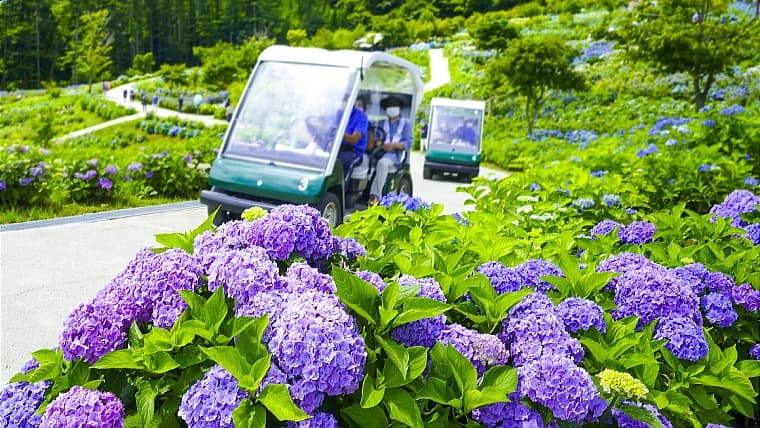 福島県平田村のジュピアランドひらた：ジュピアランドひらたは、福島県平田村にあり、約26万株の芝桜が斜面一面を彩る春の名所です。