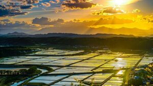 福島県浅川町の夕焼けの水田を走る水郡線：阿武隈の山あいと田園が広がる浅川町。夕焼けに染まる水田を水郡線が駆け抜ける、郷愁あふれる美しい景観です。