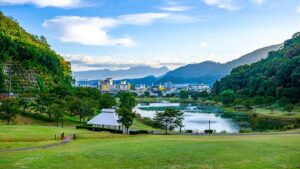 山形県天童市の天童公園：舞鶴山山頂にあり、将棋駒を模した「人間将棋」の舞台や約2,000本の桜の名所として知られる市街一望の公園。