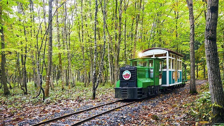 山形県真室川町の森林トロッコ列車：かつて木材運搬で活躍し、現在は近代化産業遺産として温泉施設の敷地内を走る、歴史あるトロッコ列車です。